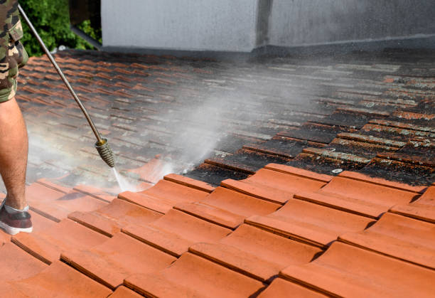 Best Exterior Home Cleaning  in Gberts, IL